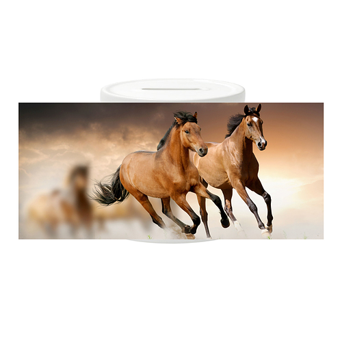 Spaarpot - Bruine paarden in galop