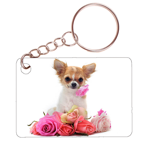 Sleutelhanger 6x4cm - Chihuahua met Roze Rozen