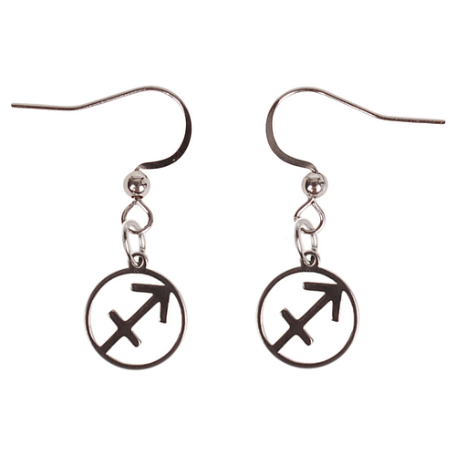 Oorbellen Zilverkleurig - hanger sterrenbeeld Boogschutter