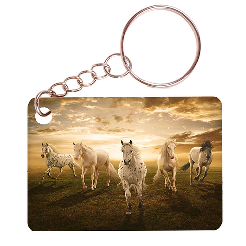 Sleutelhanger 6x4cm - Paarden Appaloosa als Groep Sunset