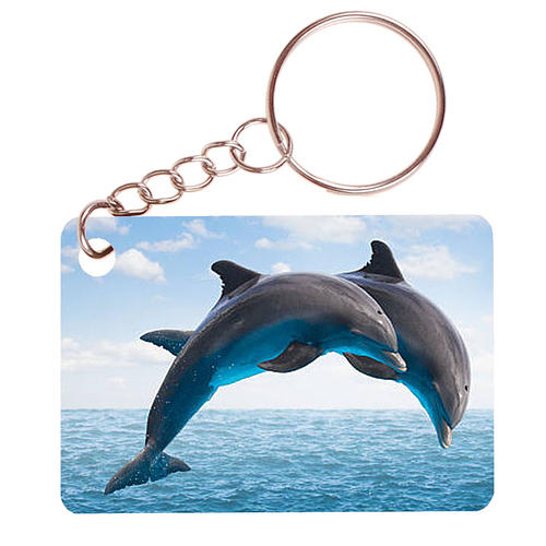 Sleutelhanger 6x4cm - 2 Dolfijnen in Sprong