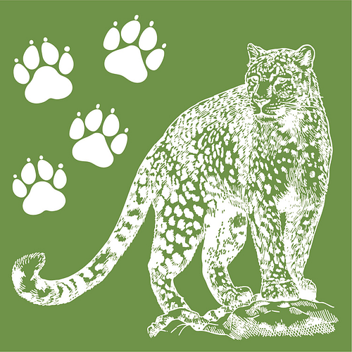 Stencil/Zeefdruk Mal/Tamponeren - Luipaard & Pootafdrukken - Hobby/DIY - Herbruikbaar - 15x15cm