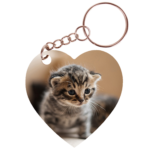Sleutelhanger hartje 5x5cm - Kittens op Onderzoek-Ontdekkingstocht