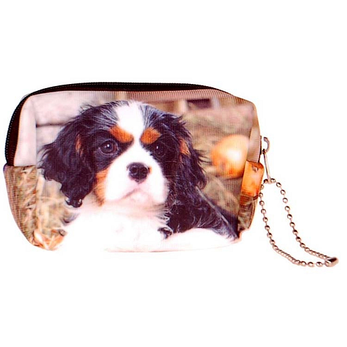  Kleine etui/kleine toilettas Cavelier King Charles