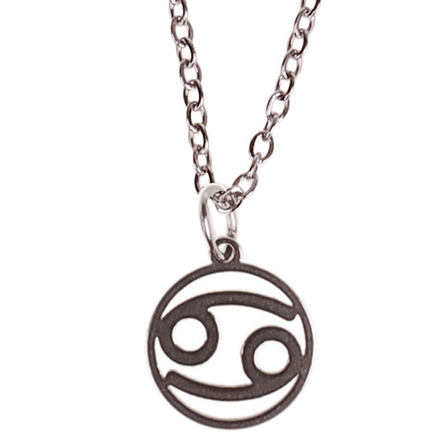 Kinderketting Zilverkleurig 45cm - Hangertje Sterrenbeeld RVS -  Kreeft