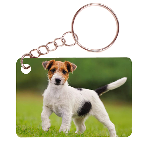 Sleutelhanger 6x4cm - Jack Russel Terrier Hond Staand