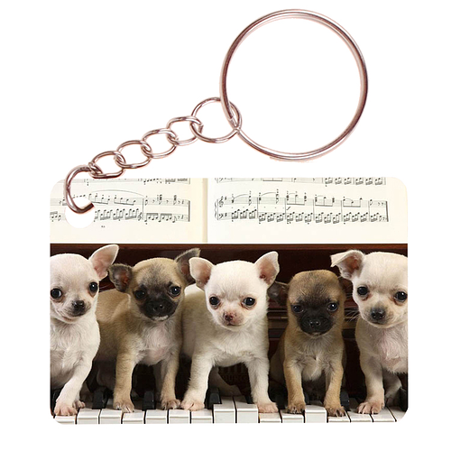 Sleutelhanger 6x4cm - Chihuahuas op Piano met Bladmuziek