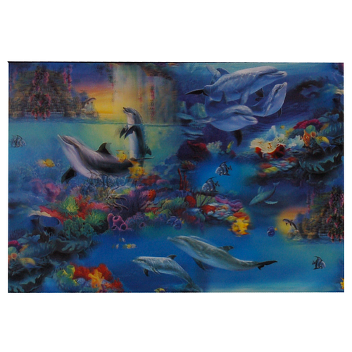 Poster 3D - Dolfijnen - Sealife - Plakstrip - 24,5x34,5cm