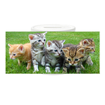 Spaarpot - Groepje Kittens op Gras