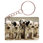 Sleutelhanger 6x4cm - Dalmatier Puppies op Rij