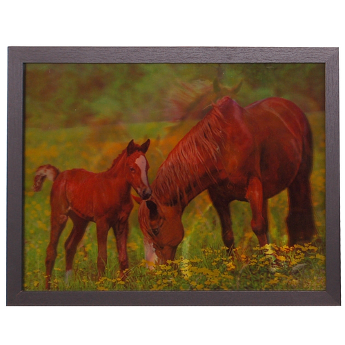 3-d schilderij vos paard met veulen