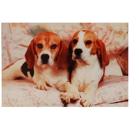 3d poster Beagles