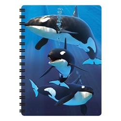Notitieboekje 3d Orca's