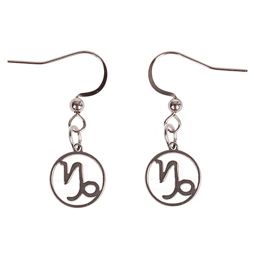 Oorbellen Zilverkleurig - hanger sterrenbeeld Steenbok