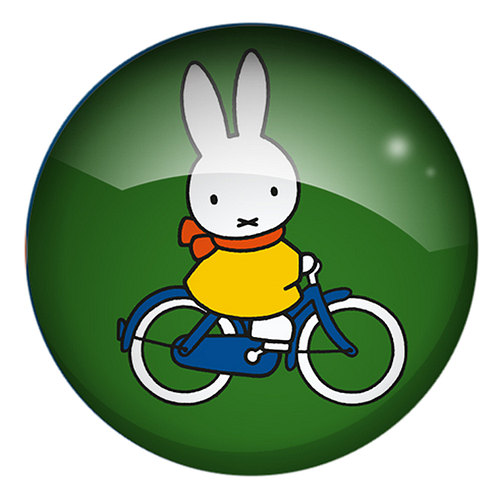 Koelkastmagneet - Glasmagneet Nijntje - Rond Groen & Blauwe Fiets - 3cm