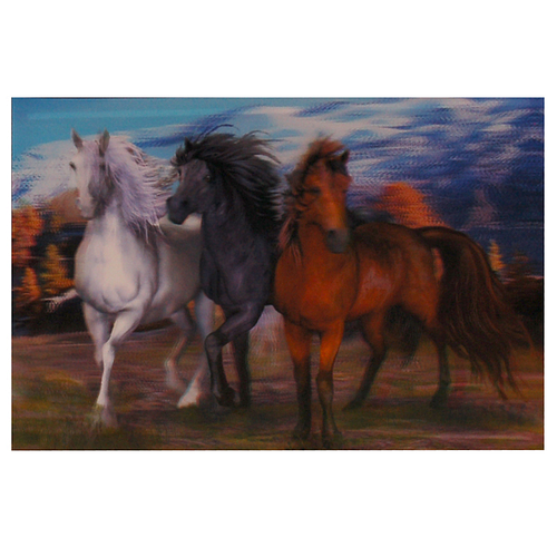 Poster 3D - Paarden Wit & Zwart & Bruin - Plakstrip - 24,5x34,5cm