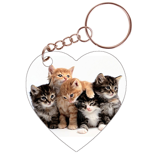 Sleutelhanger hartje 5x5cm - Groepje Kittens Rode Katertjes en Getijgerd