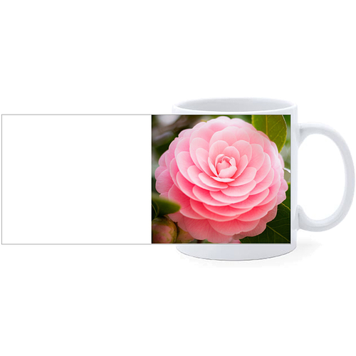 Beker - Roze Japanse Roos - Camellia Japonica