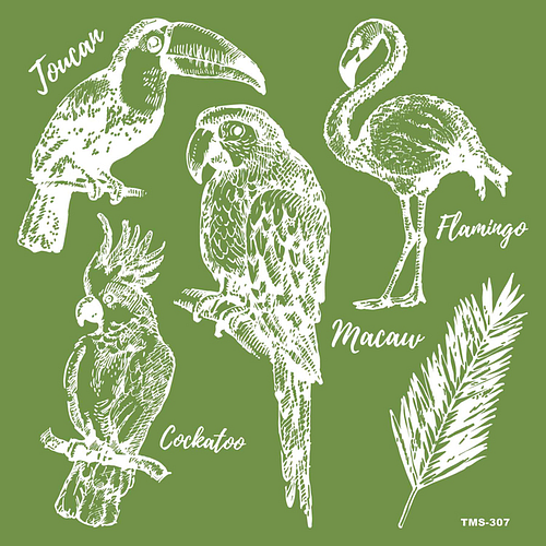Stencil/Zeefdruk Mal/Tamponeren - Tropische Vogels - Hobby/DIY - Herbruikbaar - 15x15cm