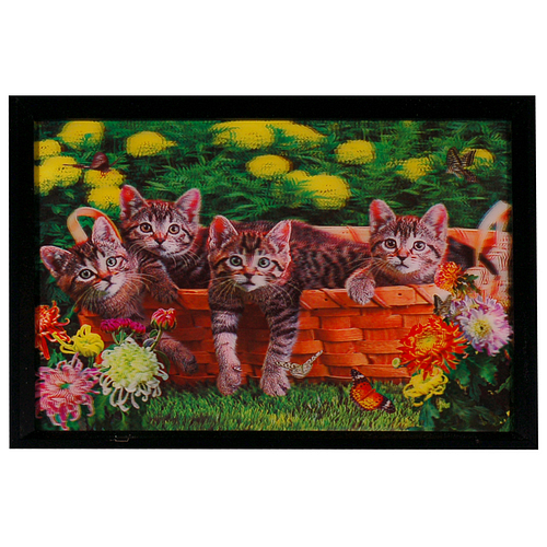 Poster 3D met Lijst - Kittens Poesjes in Mand & Bloemen - 43x33cm