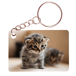 Sleutelhanger 6x4cm - Kittens op Onderzoek-Ontdekkingstocht