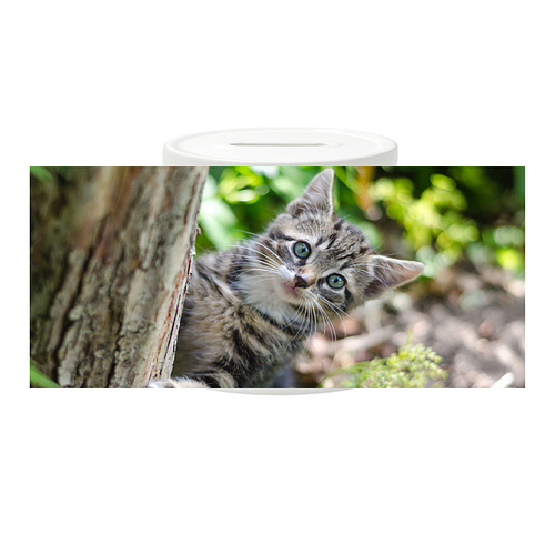 Spaarpot - Kitten in Tuin achter Boom