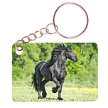 Sleutelhanger 6x4cm - Fries Paard Zwart in Groene Weide
