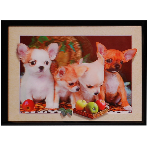 3d schilderij Chihuahua puppies
