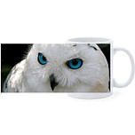 Beker - Sneeuwuil - Close up