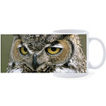 Beker - Oehoe Uil - Close up