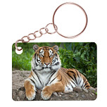 Sleutelhanger 6x4cm - Tijger Liggend op Stenen