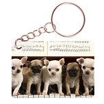 Sleutelhanger 6x4cm - Chihuahuas op Piano met Bladmuziek