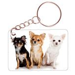 Sleutelhanger 6x4cm - Chihuahuas zwart/bruin/wit