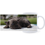 Beker - Franse Bulldog Pup op Kleed