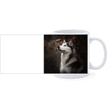 Beker - Husky op Donkere Achtergrond