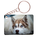 Sleutelhanger 6x4cm - Husky Liggend Blauwe Ogen