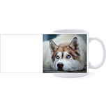 Beker - Husky Liggend Blauwe Ogen