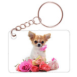 Sleutelhanger 6x4cm - Chihuahua met Roze Rozen