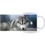 Beker - Husky Liggend op Houten Vloer