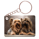 Sleutelhanger 6x4cm - Yorkshire Terrier Duo Liggend op Kussen