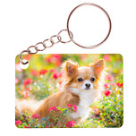 Sleutelhanger 6x4cm - Chihuahua tussen Bloemen