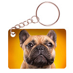 Sleutelhanger 6x4cm - Franse Bulldog Bruin 