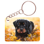 Sleutelhanger 6x4cm - Rottweiler Pup Liggend tussen Bladeren