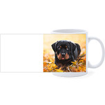 Beker - Rottweiler Pup Liggend tussen Bladeren