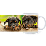 Beker - Rottweiler Pups Tussen Hek
