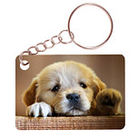 Sleutelhanger 6x4cm - Golden Retreiver Pup op Houten Balk