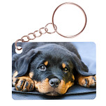 Sleutelhanger 6x4cm - Rottweiler Hond Liggend op Kleed