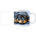 Beker - Rottweiler Hond Liggend op Kleed