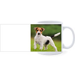 Beker - Jack Russel Terrier Hond Staand