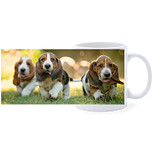 Beker - Basset Hounds Lopend op Gras